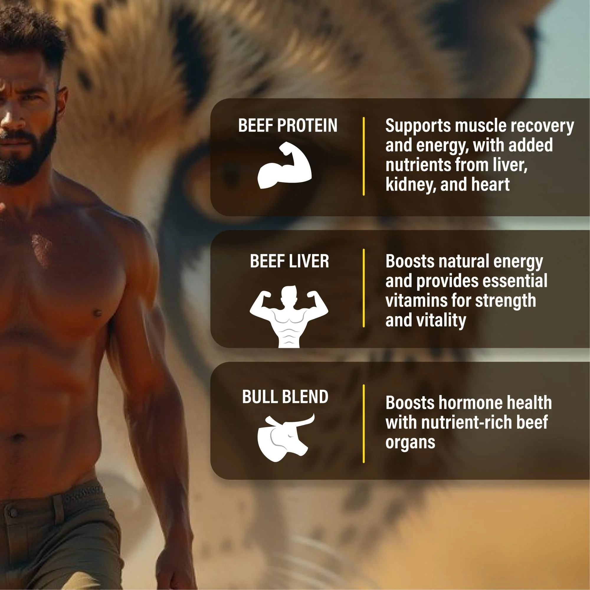 Animal Based Bundle - Image 4