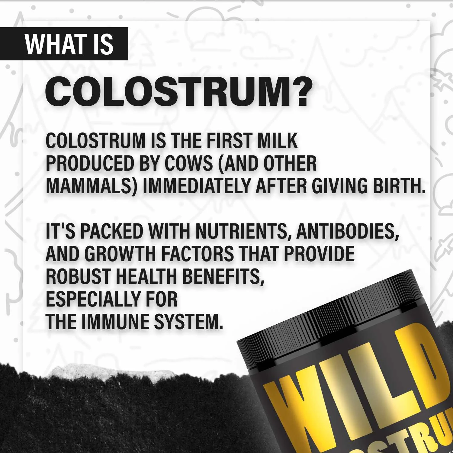 Wholesale of 10 - Wild Colostrum Powder, Grass-fed - Image 3