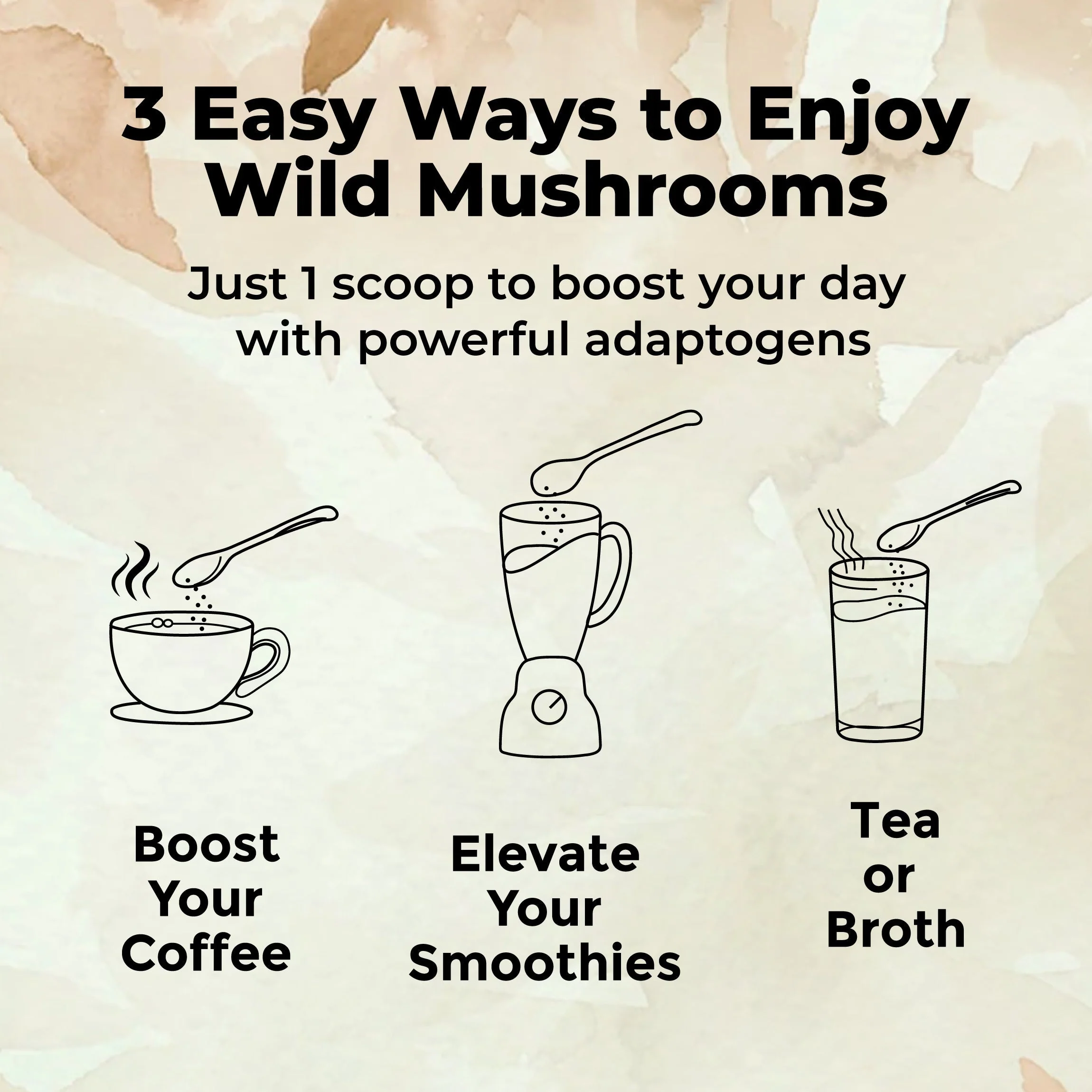 Wholesale of 10 - Master Shrooms Five Mushrooms Blend - Adaptogens + Prebiotic Powerhouse - Image 4