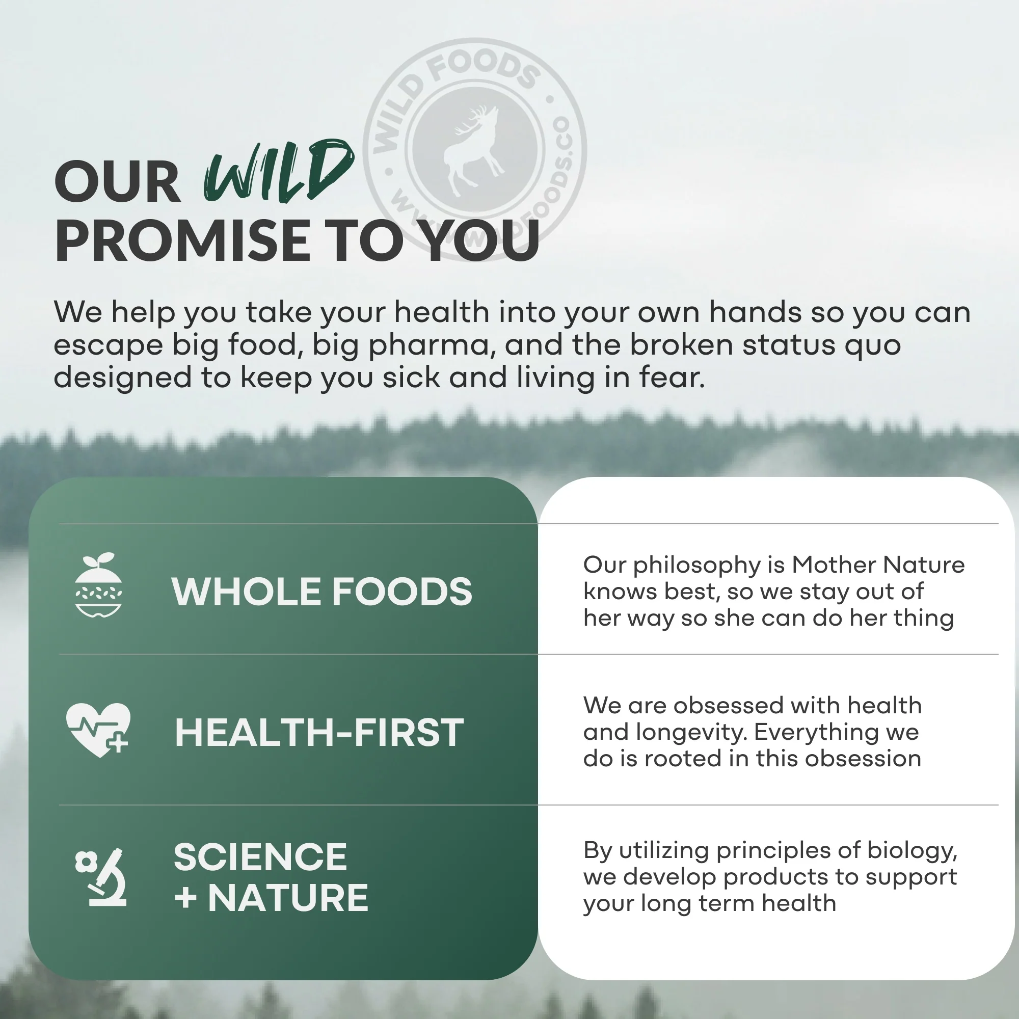 Wild Creatine + Electrolytes, Unflavored - Image 8