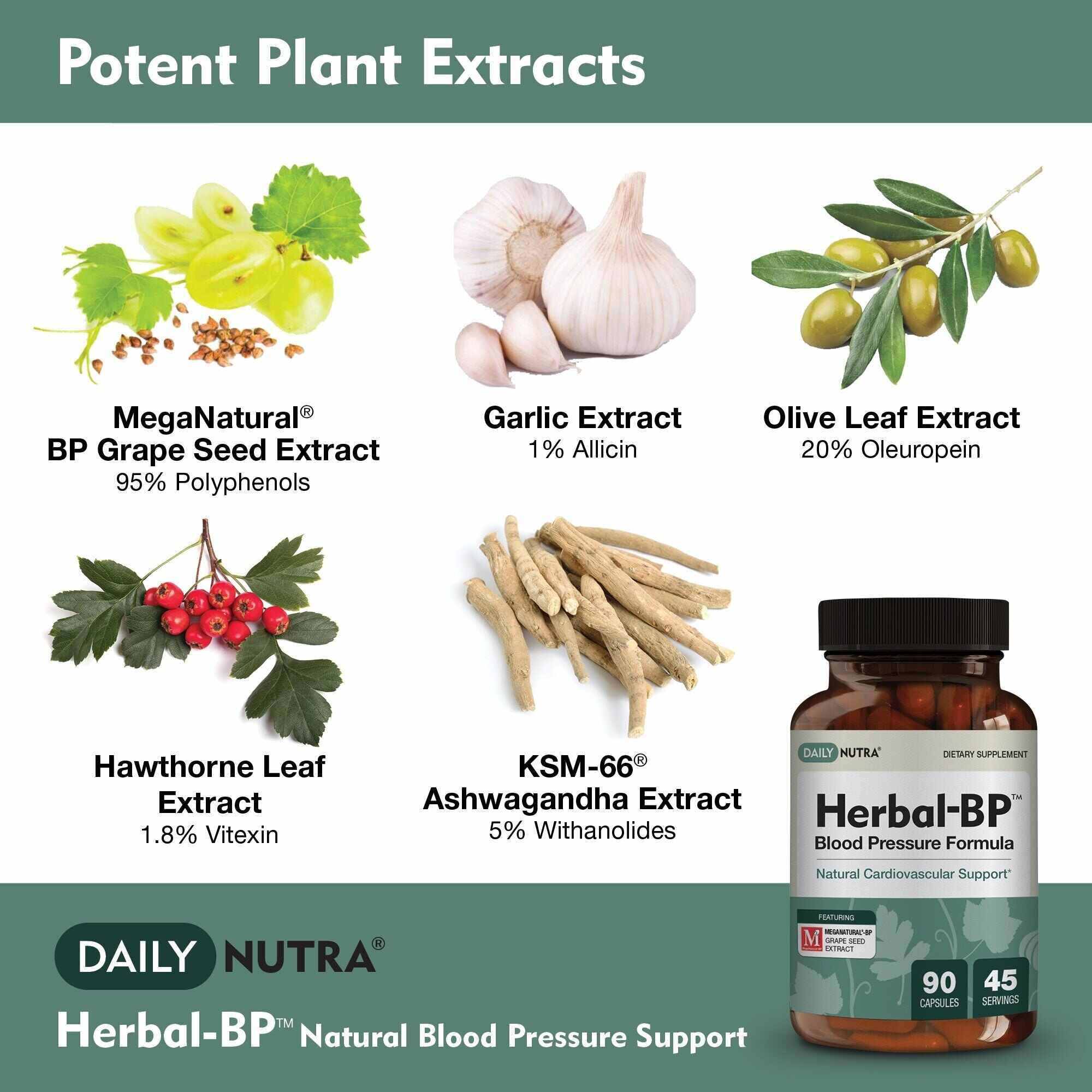 Herbal-BP - Supports circulatory wellness - Image 5