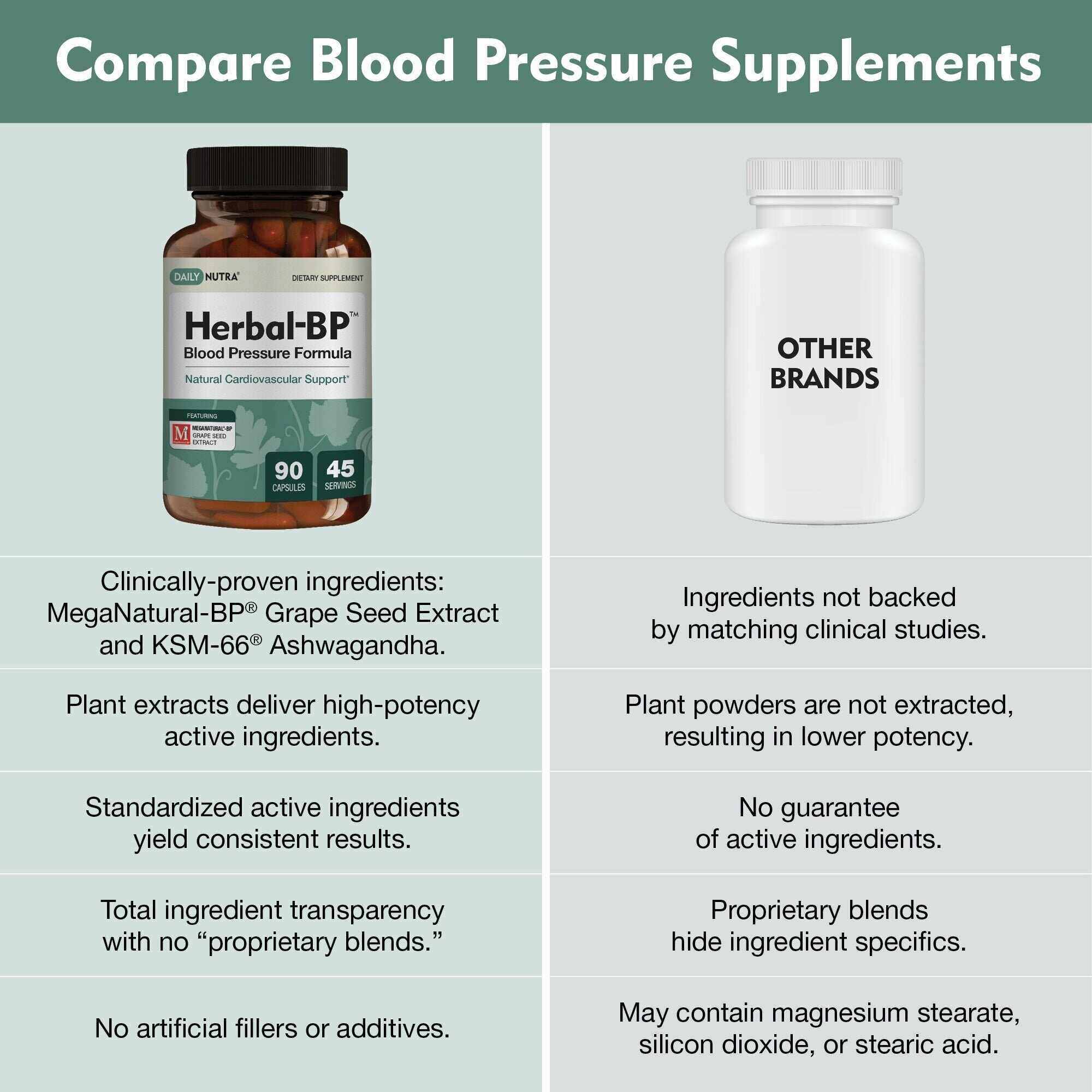 Herbal-BP - Supports circulatory wellness - Image 7
