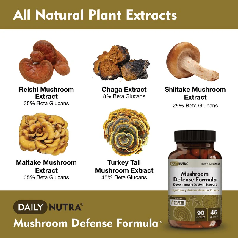 Mushroom Defense Formula - Image 4