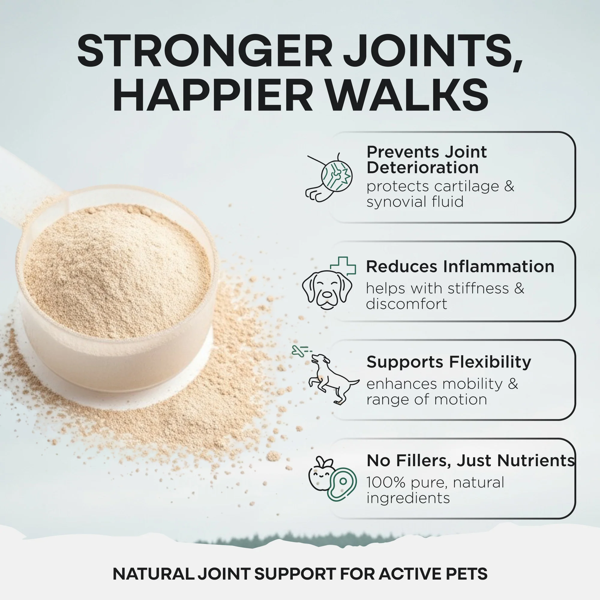 Wild Pets - Blue Lipped Mussel & Glucosamine Powder - Image 2