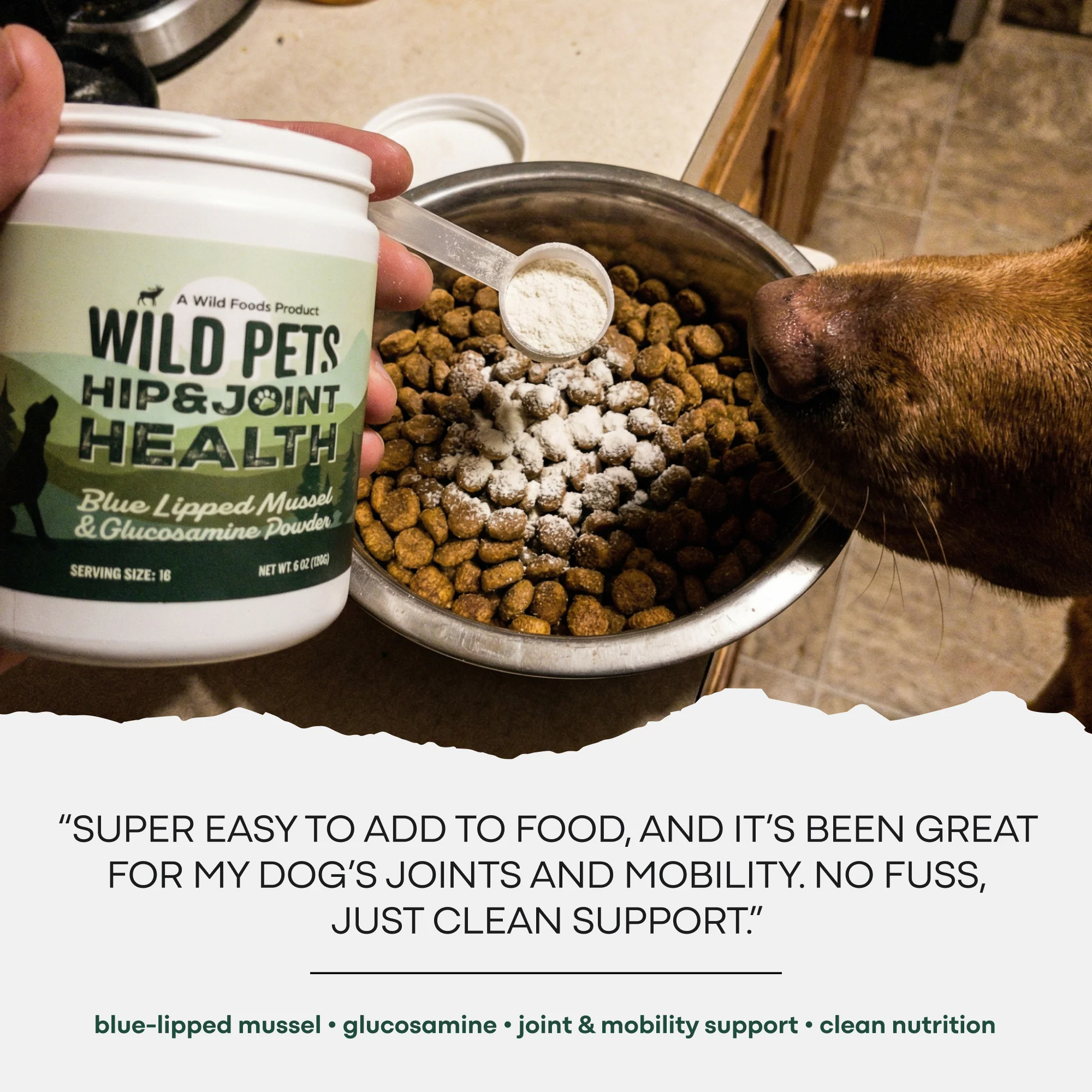 Wild Pets - Blue Lipped Mussel & Glucosamine Powder - Image 6