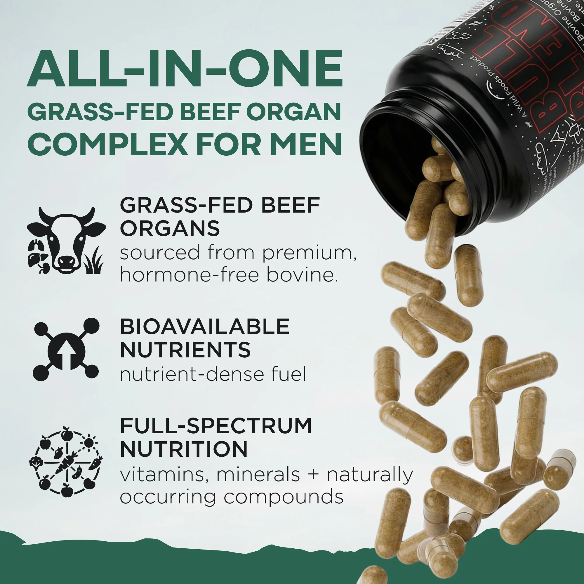 Wholesale of 10 - The Bull Blend - Beef Organs for Hormone Support - Image 3