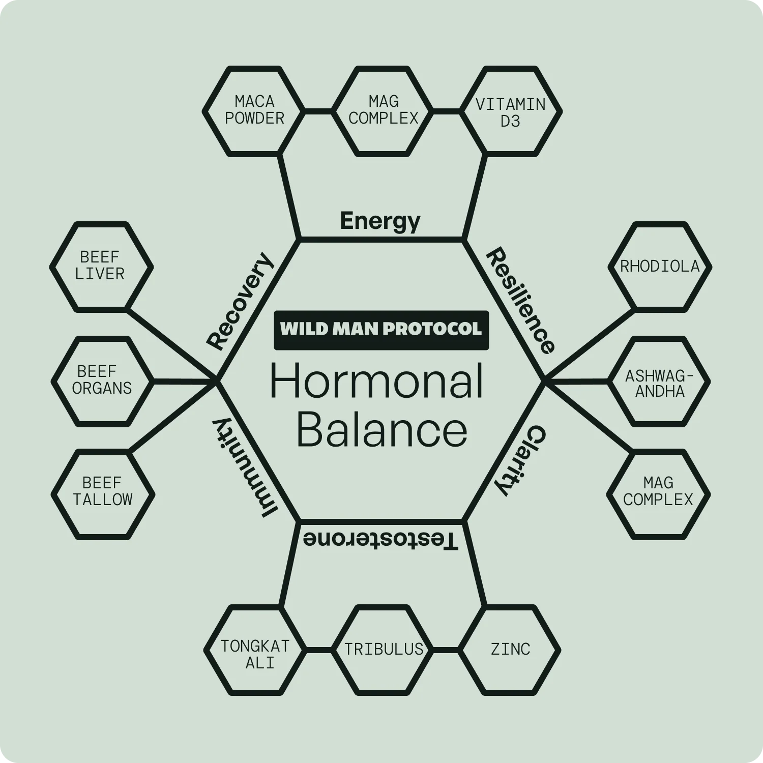 Wild Man Bundles: Natural Strength & Performance Bundle - Image 4