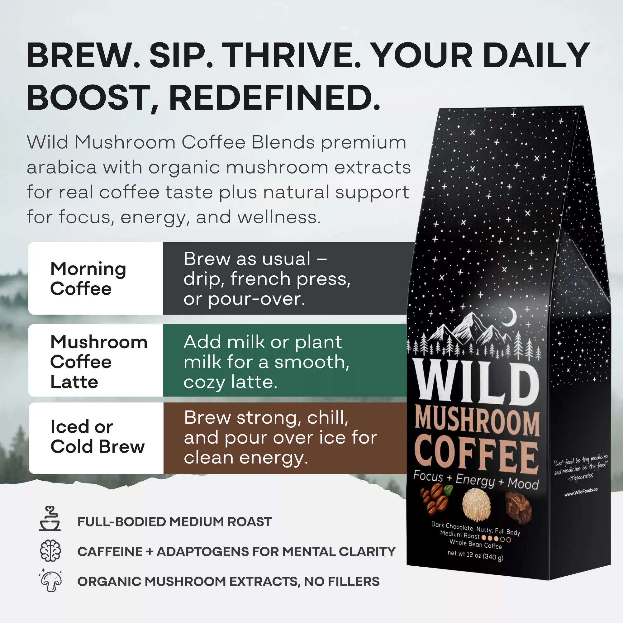 Wild Mushroom Coffee (Medium Roast) — Focus + Energy + Mood - Image 3