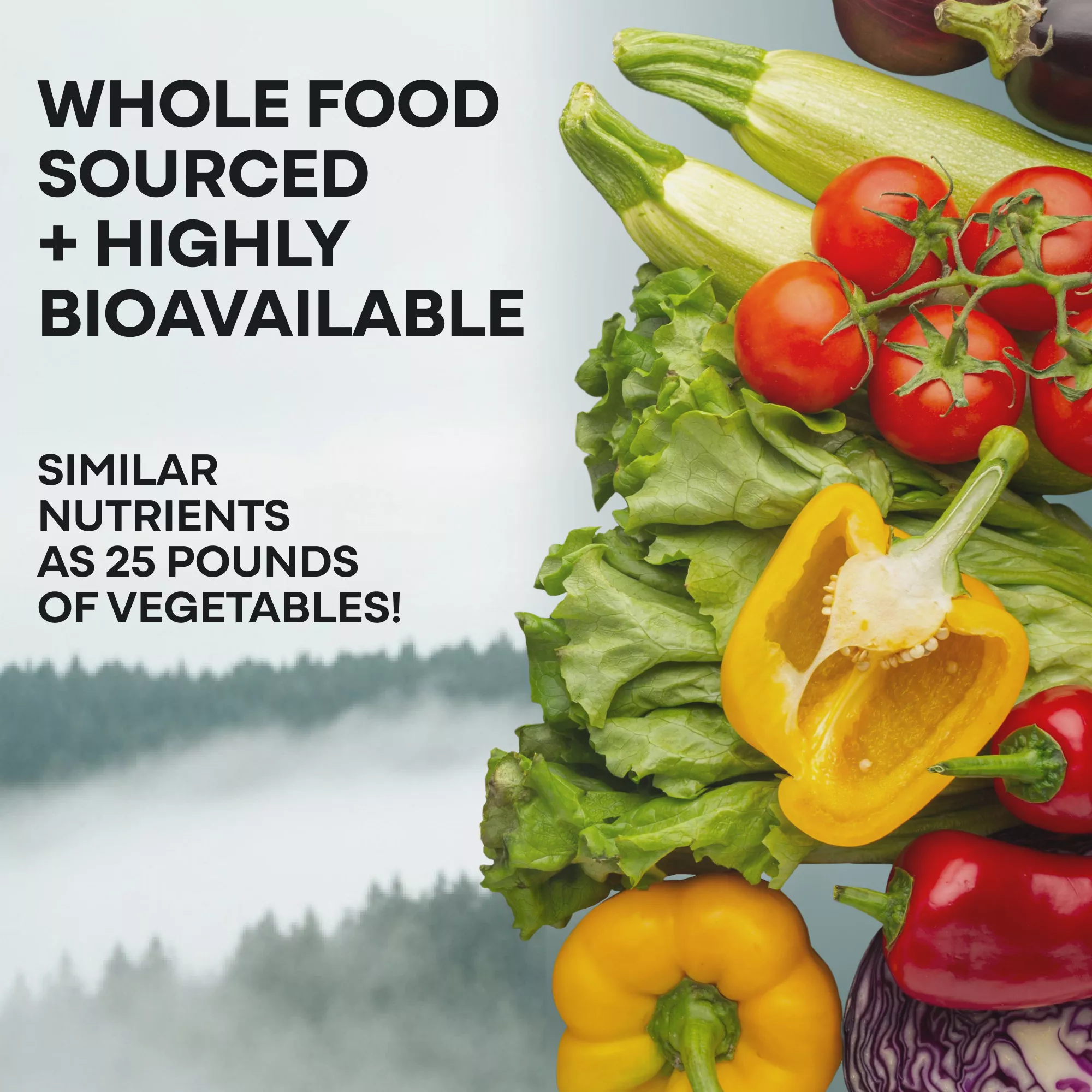 Methylated Whole Food Multivitamin - Image 10