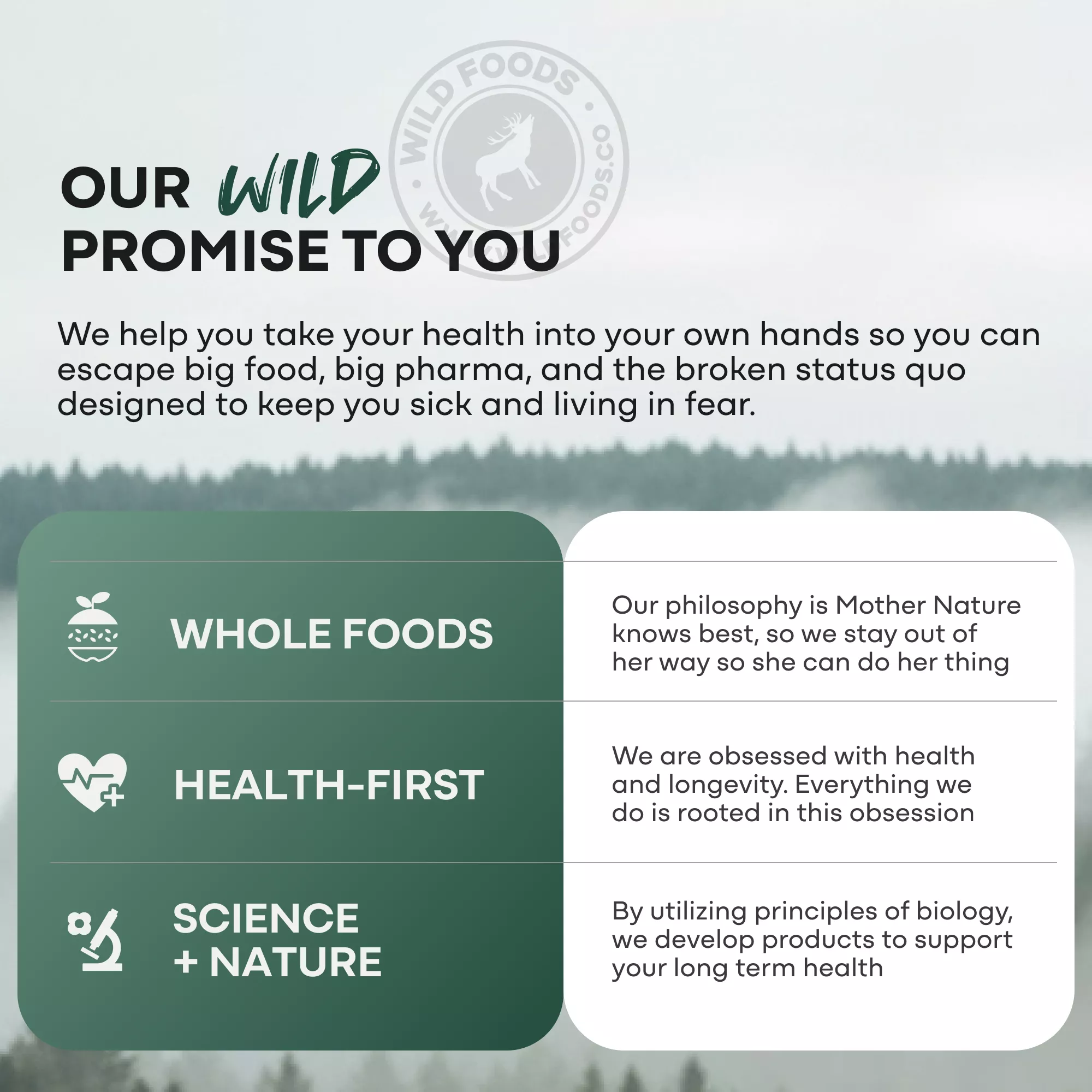 Methylated Whole Food Multivitamin - Image 13