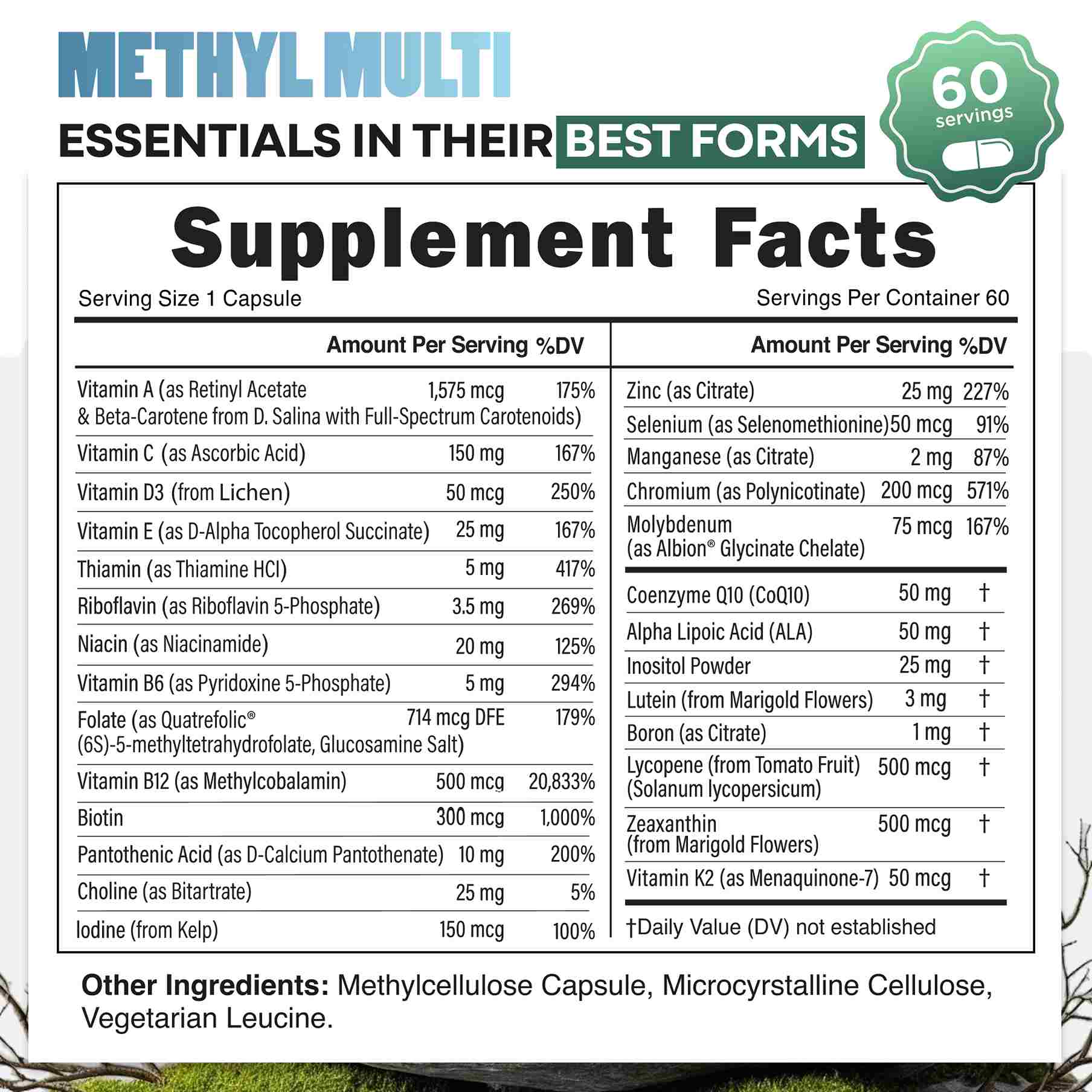 Methylated Whole Food Multivitamin - Image 6