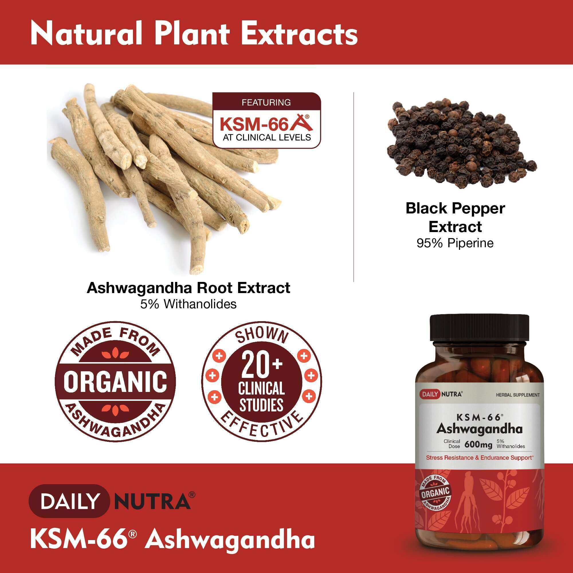 Wholesale of 10 - Daily Nutra KSM-66 Ashwagandha 60c - Image 4