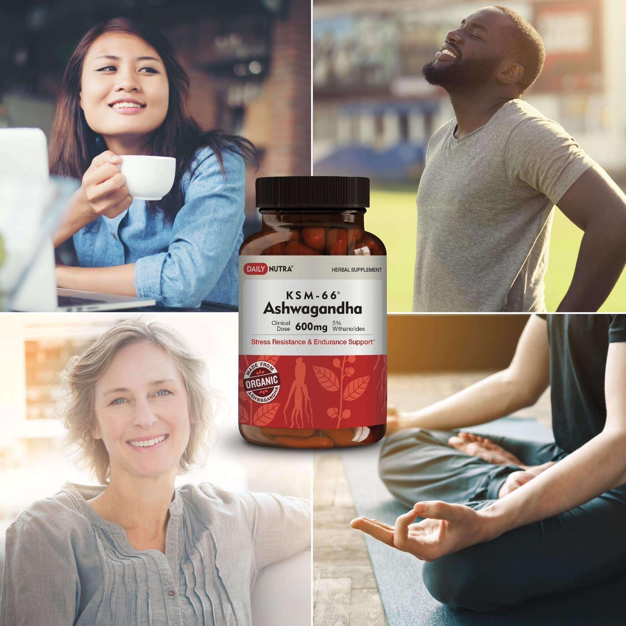 Wholesale of 10 - Daily Nutra KSM-66 Ashwagandha 60c - Image 7