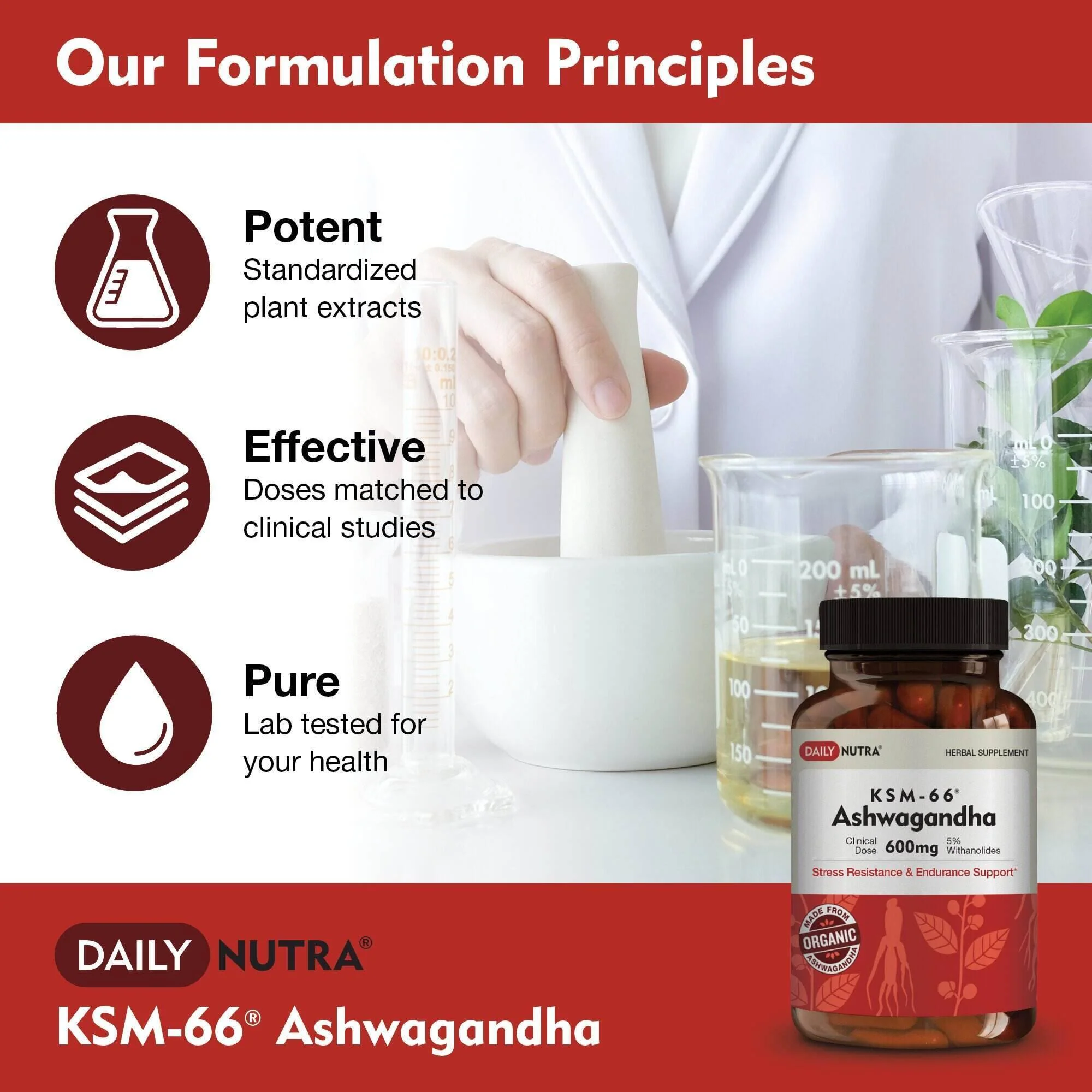 Wholesale of 10 - Daily Nutra KSM-66 Ashwagandha 60c - Image 9