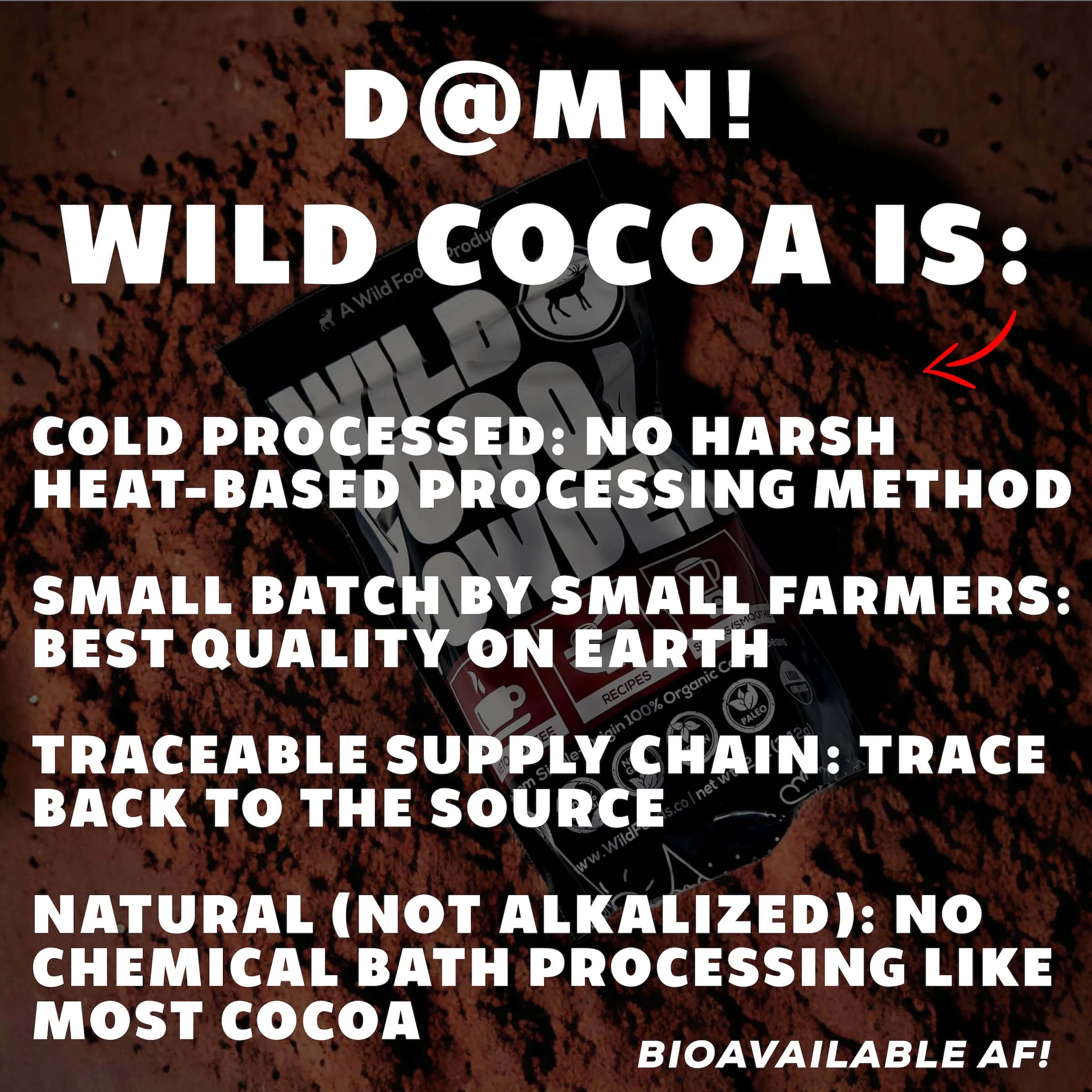 Wholesale of 10 - Wild Cocoa Powder - Organic, Single-Origin, Small farms - Image 4