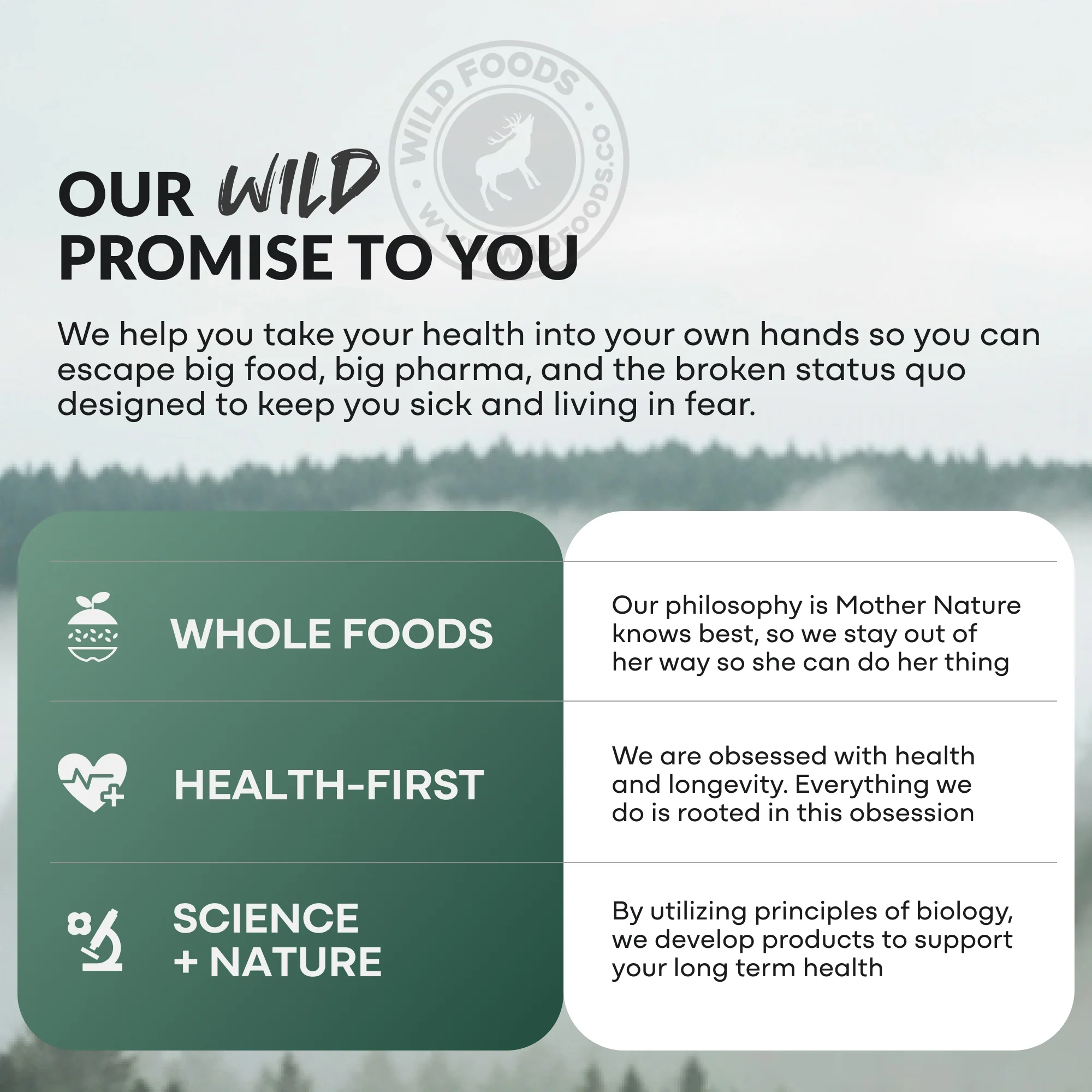 Activated Charcoal Capsules, 60 servings - Made from 100% Organic Coconuts - Image 9