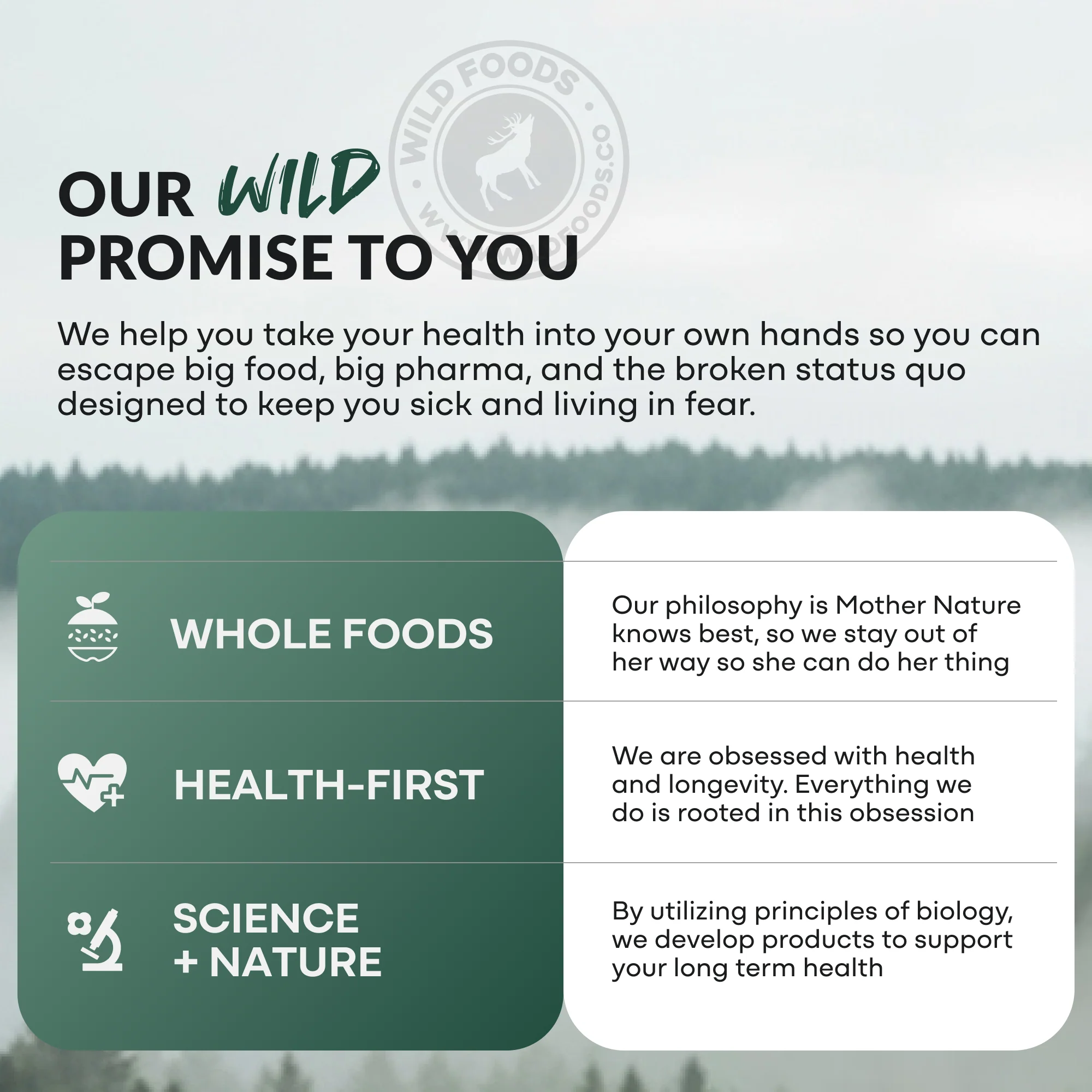 Wild Fish Oil Capsules, Omega-3 Blend, Sustainable, Pure, Third-Party Tested - Image 12