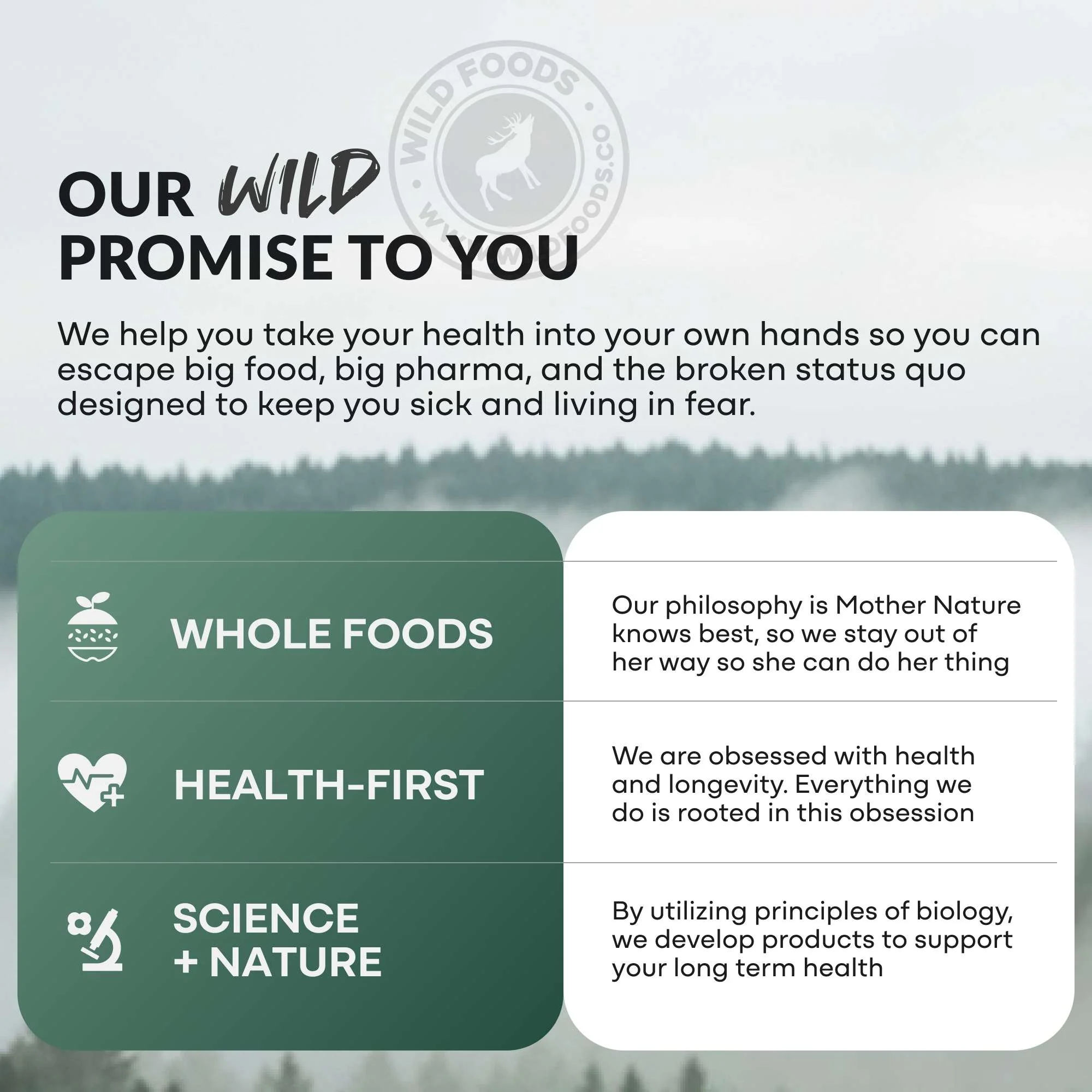Wild Man Herbal Stack – Male Wellness Stack & Performance - Image 5