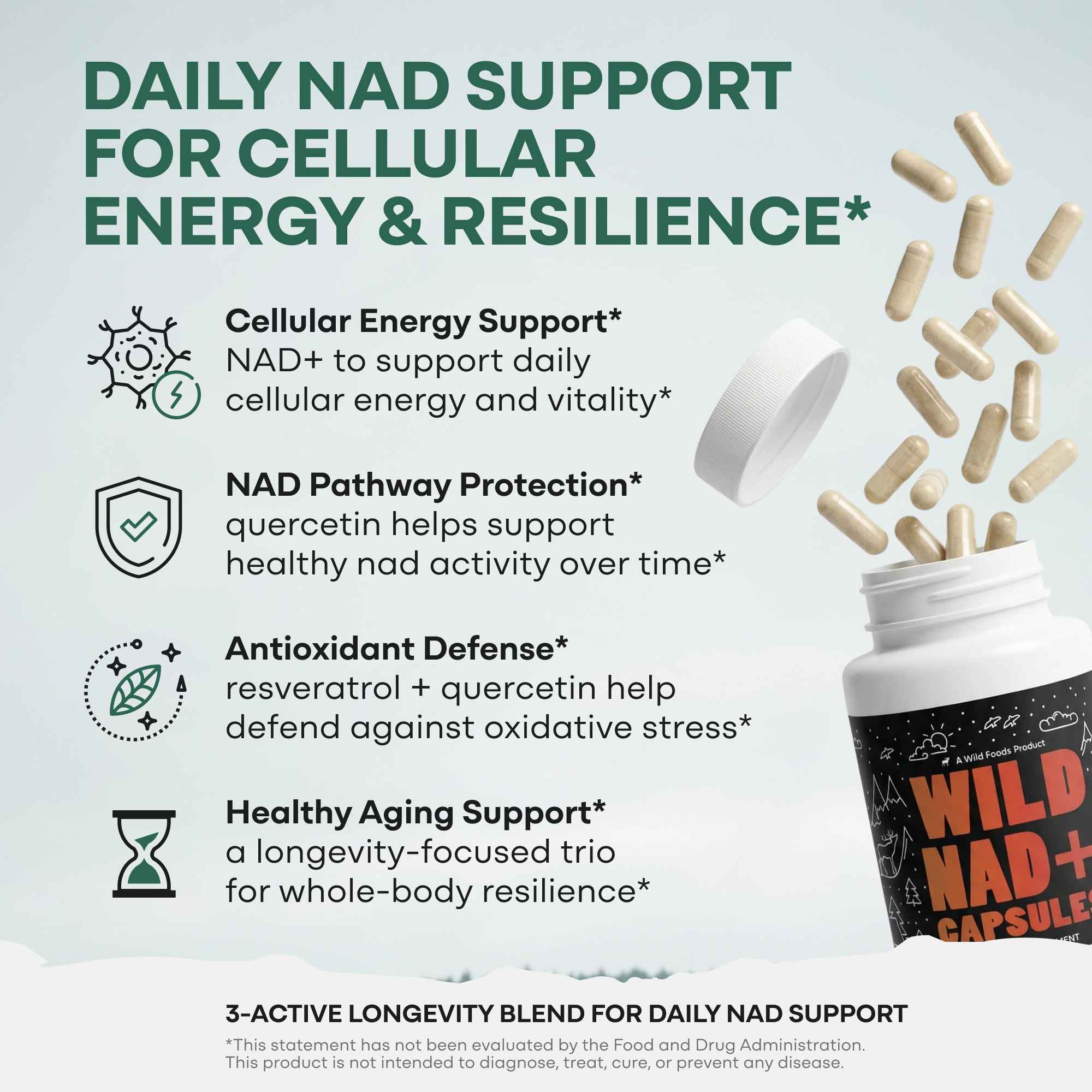 Wild NAD+ Capsules - Image 2
