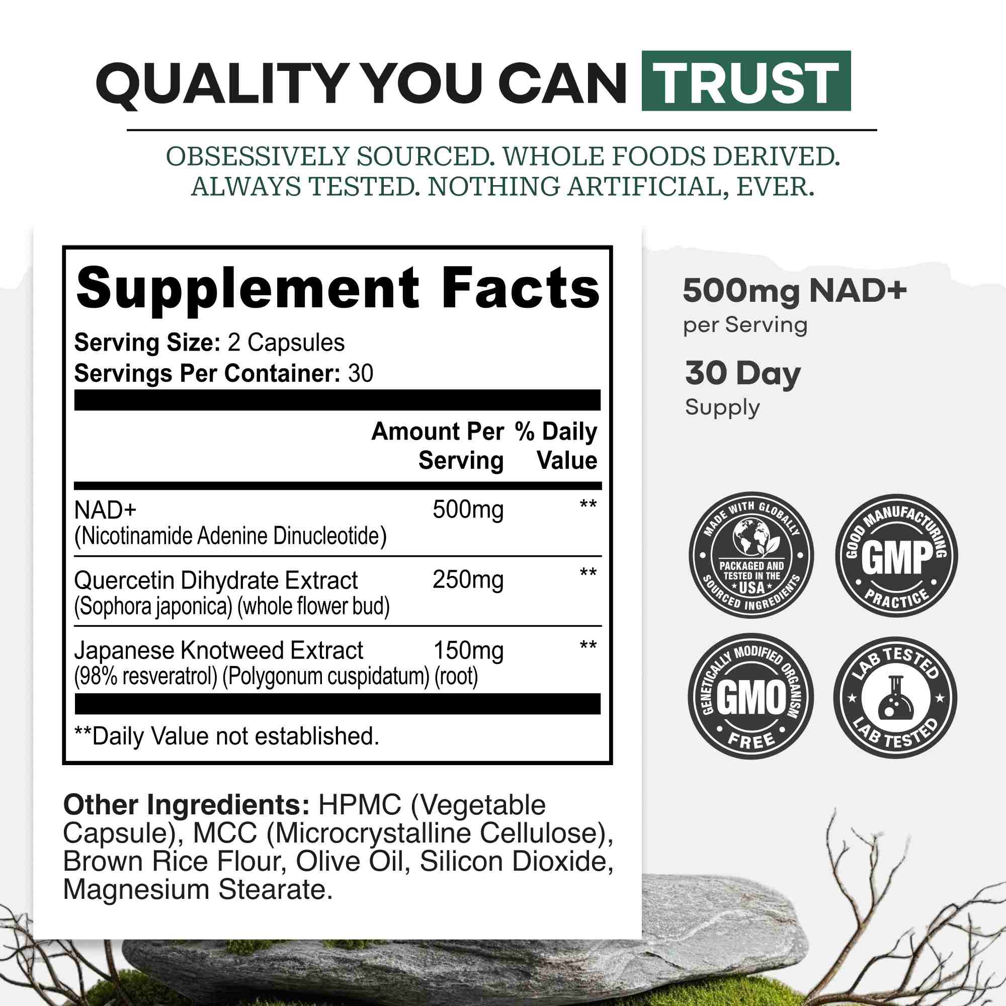 Wild NAD+ Capsules - Image 3
