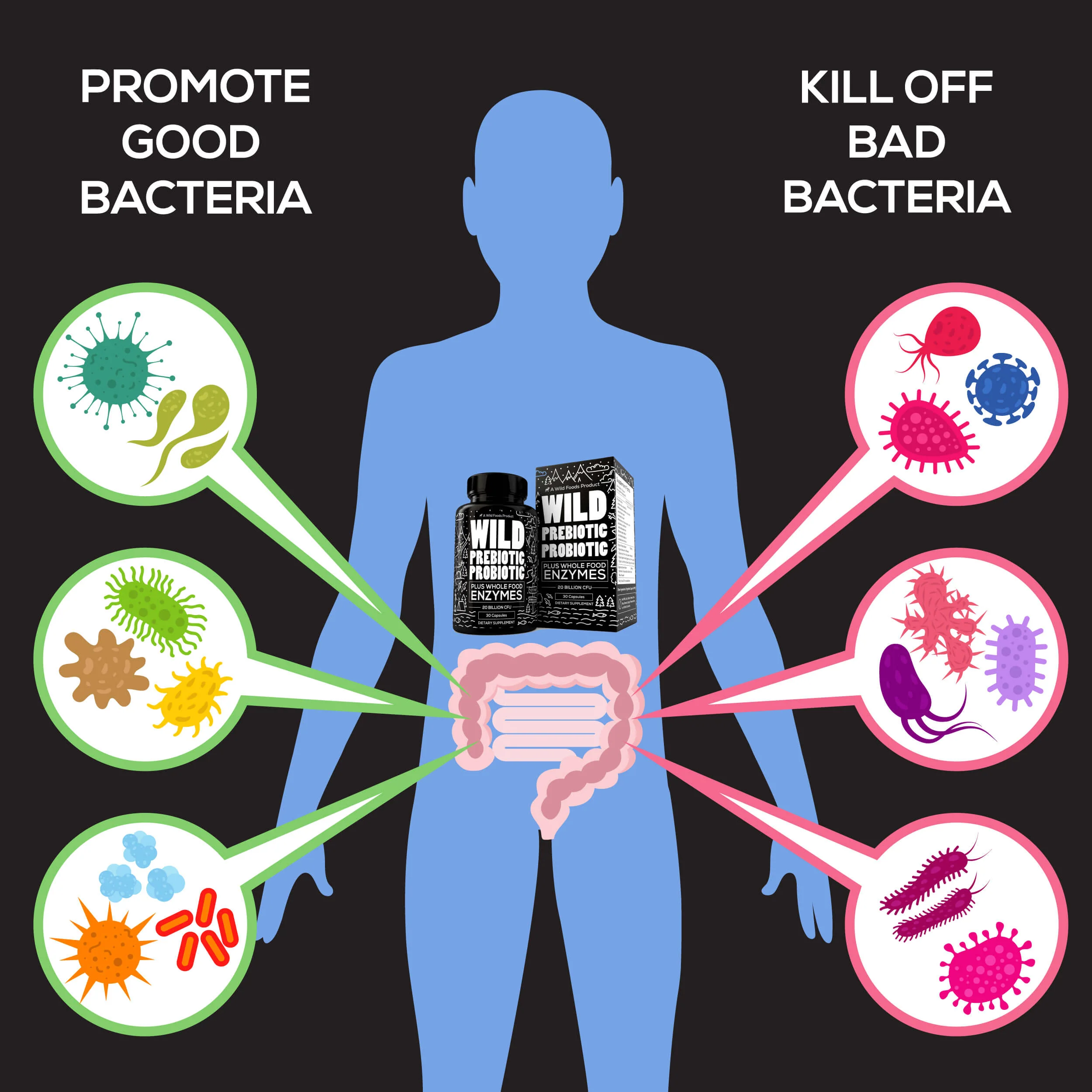 Wholesale of 10 - Wild Prebiotic & Probiotic with Digestive Enzymes - Image 6